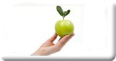 Image of an apple