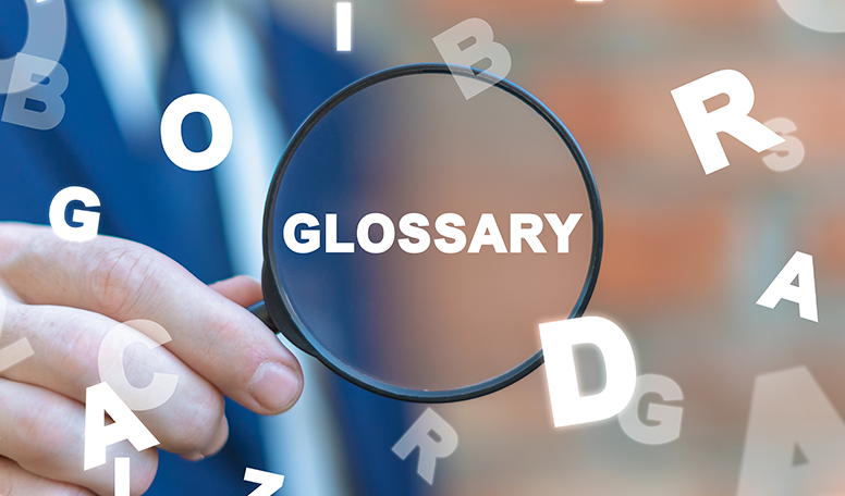 Glossary